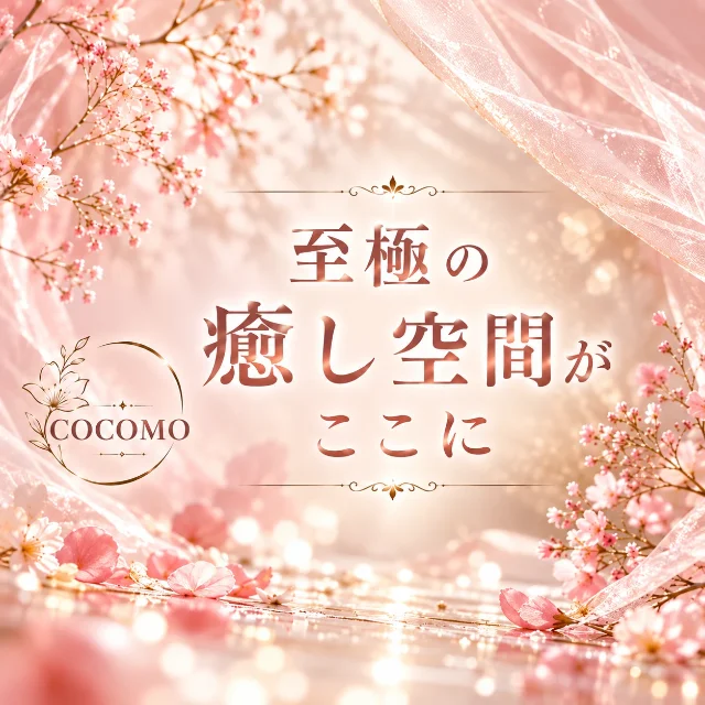 COCOMO