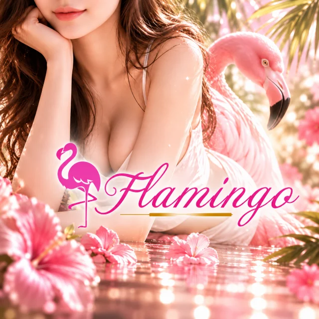 Flamingo～フラミンゴ～