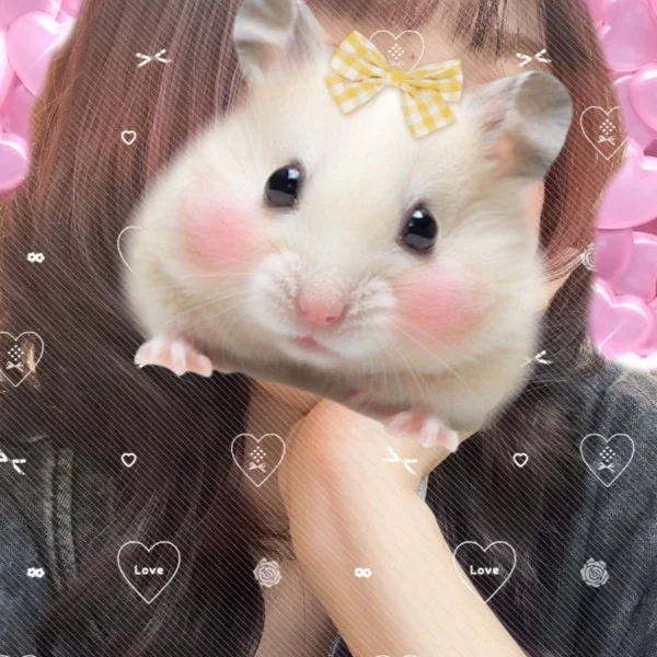 翼【つばさ】《P》さんの写メ日記：一緒にひとやすみ🩵