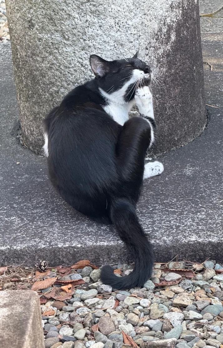 心渚（ここな）さんの写メ日記：メンズエステの良さをわかってもらいたい♡