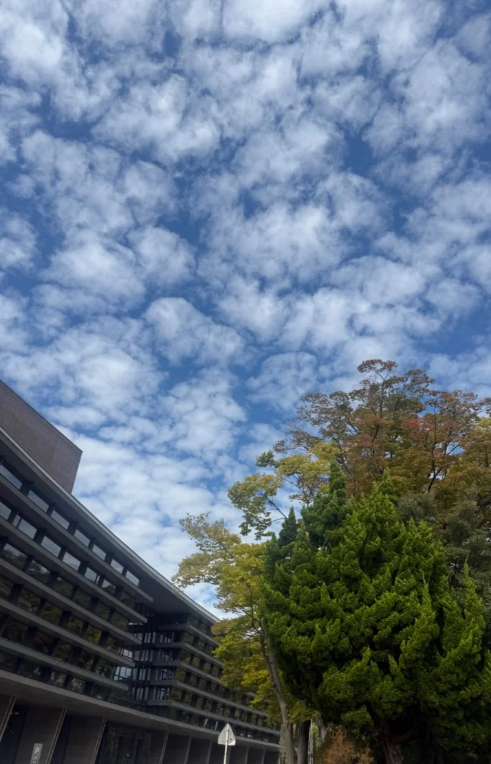 心渚（ここな）さんの写メ日記：本当のメンエスを是非受けてみてね💕