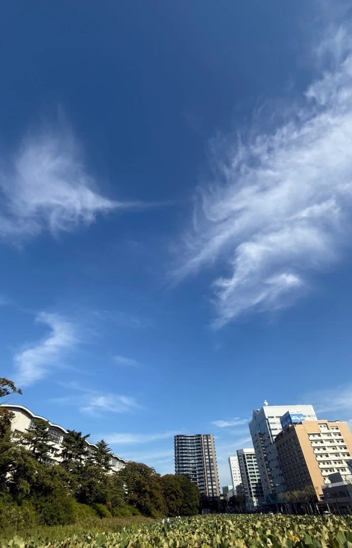 心渚（ここな）さんの写メ日記：昨日の本指名様ありがとう💕︎