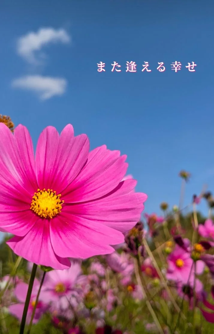 また逢える幸せ(*˘︶˘*).｡.:*♡