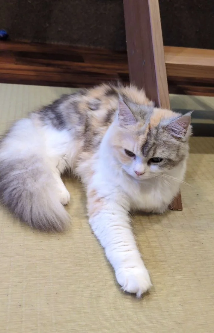 ゆずさんの写メ日記：感謝(ㅅ´꒳` )‎🩷