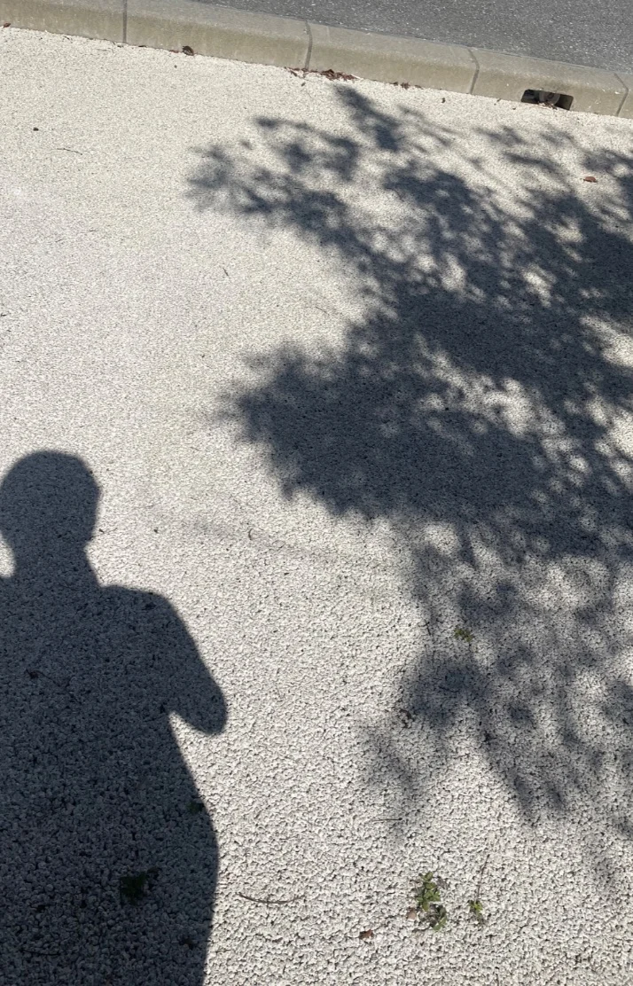 仲間真理子さんの写メ日記：本日、17時から出勤します^_^