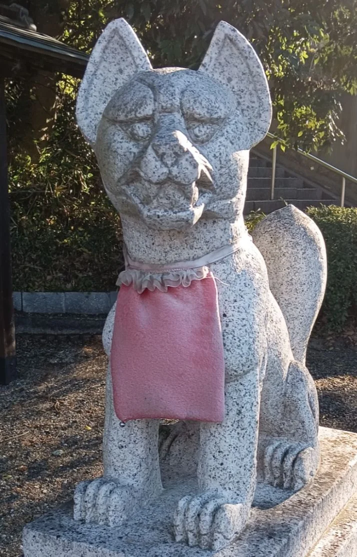 おうなさんの写メ日記：盛り盛り日曜日だどん( ‾̑ω‾̑)੭✨
