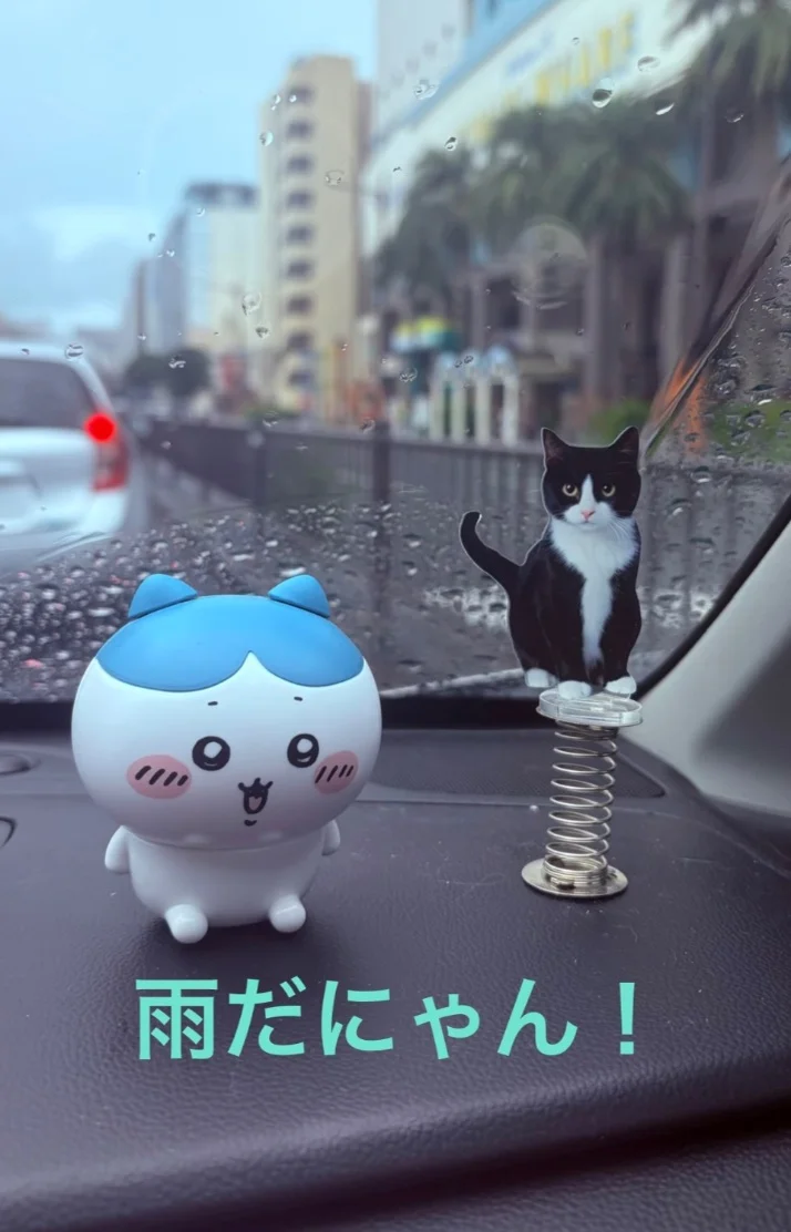 雨ですね！