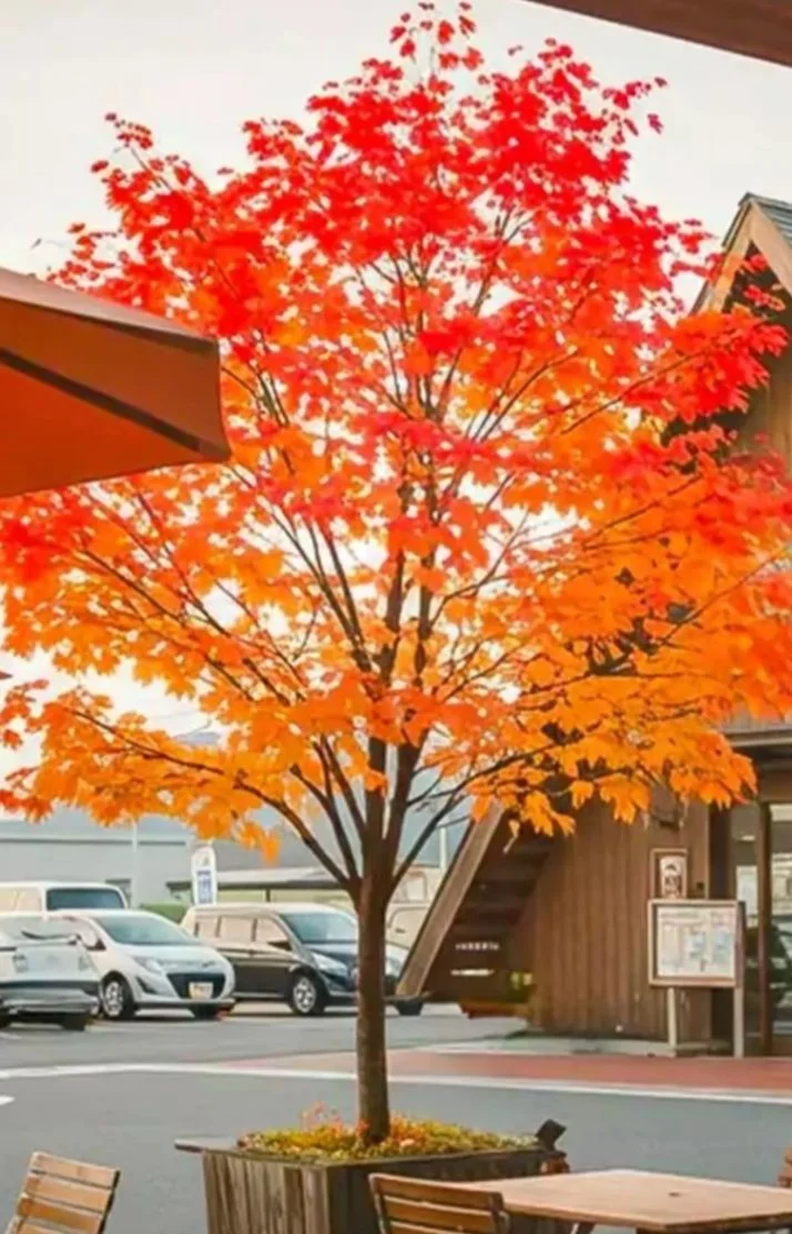 おうなさんの写メ日記：きのうったら( ´◔ᾥ◔`)♡