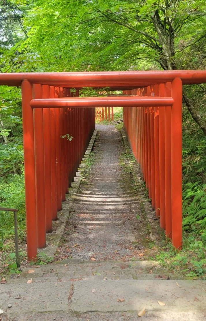 【早めの予約推奨】椿さんの写メ日記：パワースポット🫶