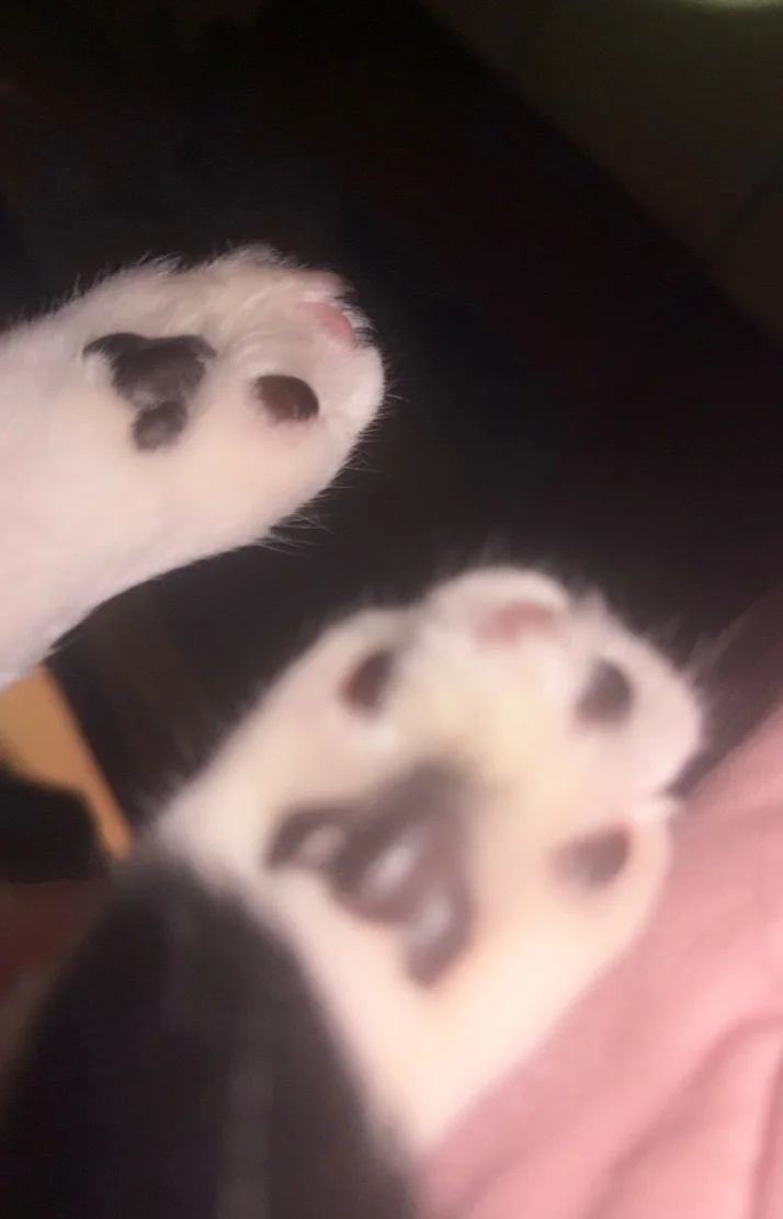 こんばんは⭐︎