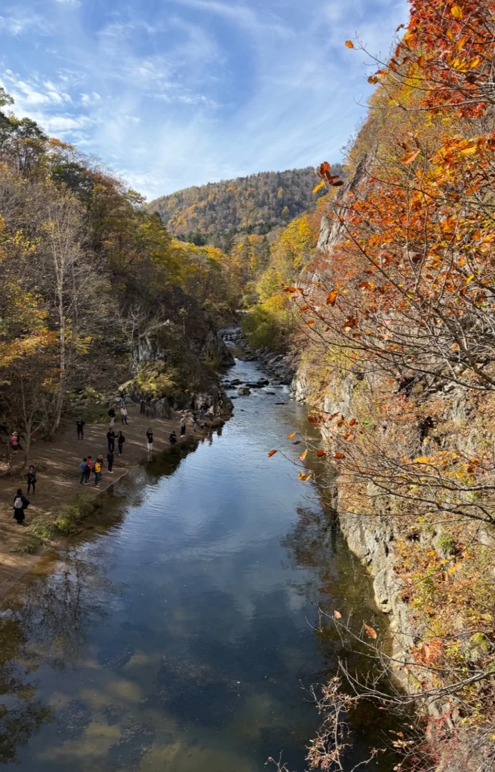 MOMO-もも-さんの写メ日記：🍂