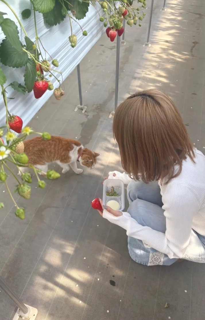 輝姫（きき）さんの写メ日記：𝐓𝐡𝐞𝐧𝐤 𝐲𝐨𝐮🫱🏻‍🫲🏽