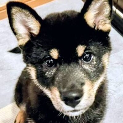 セラピスト募集中❗