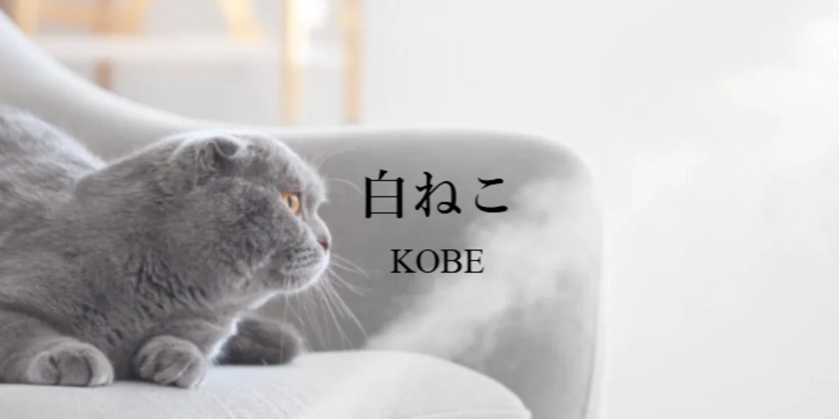 白ねこエステ
