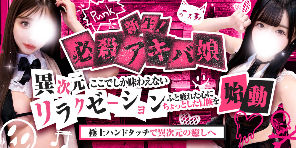 必殺アキバ娘