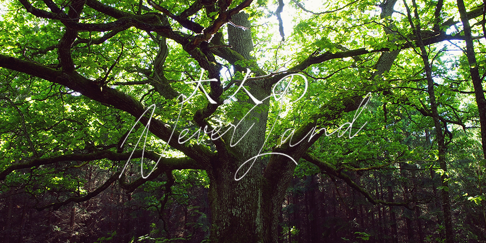 大人のNEVERLAND