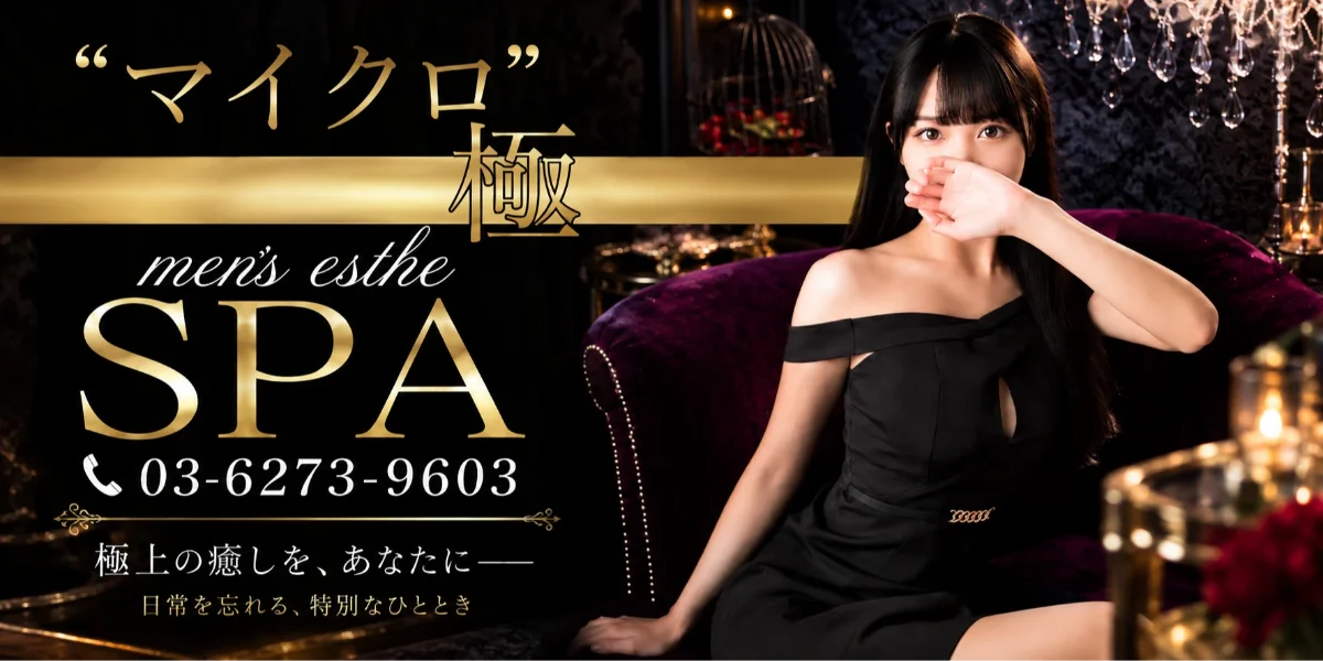マイクロ極SPA