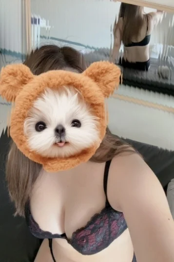 うた 画像5