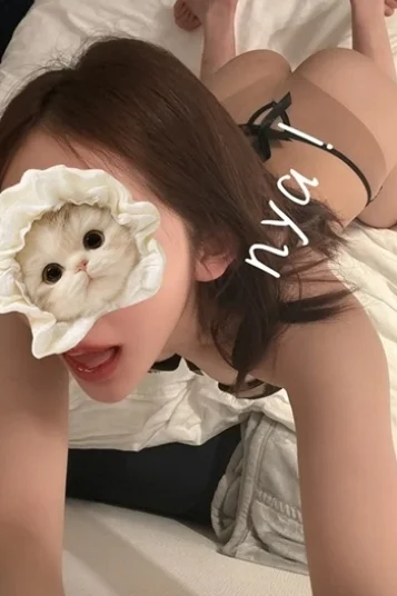 帝ひびき 画像2